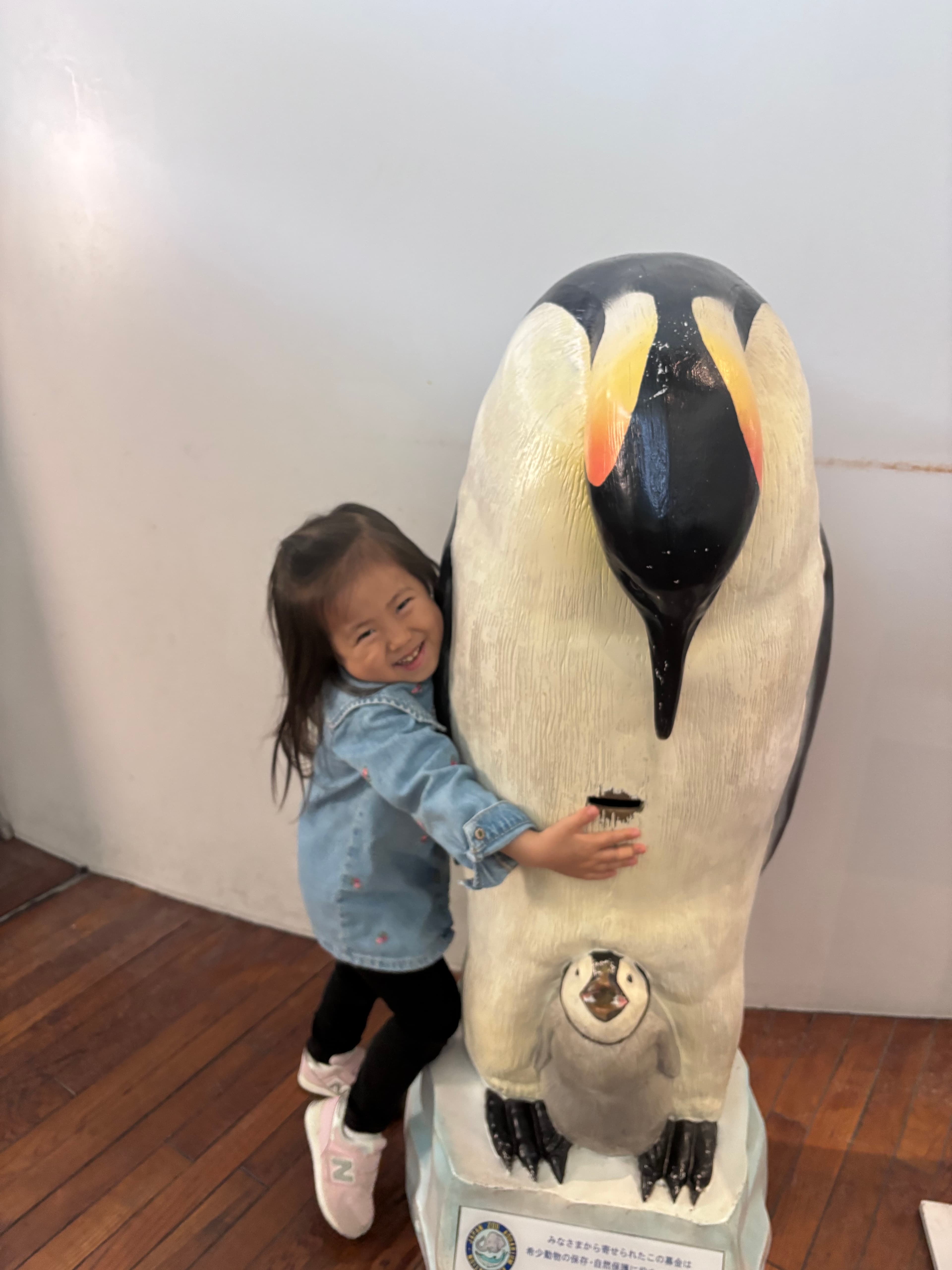 スケシュー新品サイズアウト - Image 1